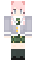 Santer minecraft skin