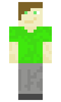 d57f010a66ecf9 minecraft skin