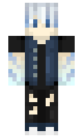 PacoPalitos minecraft skin