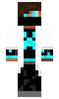 d5a77313a1cd9b minecraft skin