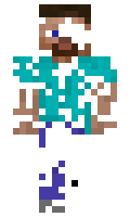 inarizushidiy minecraft skin