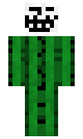 d5f84395034819 minecraft skin