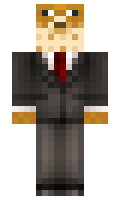 d625e79d843f30 minecraft skin