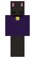 d628c146438955 minecraft skin