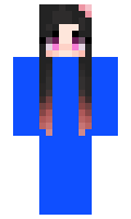 d63af0d9611fc4 minecraft skin