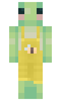 d6690d7438f2e2 minecraft skin