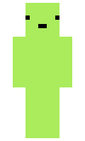 6507 minecraft skin