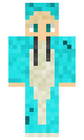 d6b6c0c7217e79 minecraft skin