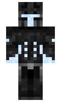 Dzienys minecraft skin