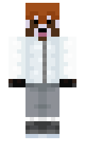 d6c8c82532e400 minecraft skin