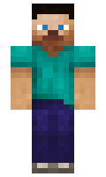 Teli minecraft skin