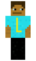 d6d79d9036d432 minecraft skin