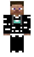 d6e3d3b1935cf5 minecraft skin