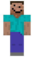 Dublax minecraft skin