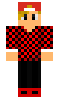 d70b8e70c991aa minecraft skin