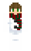 WAROG minecraft skin