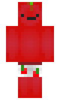 d72613f19c536d minecraft skin