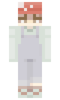 d72961f1843a02 minecraft skin
