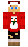 maks100 minecraft skin