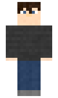 d760e40303490a minecraft skin