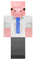 d764ba60a24f9a minecraft skin