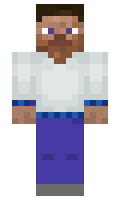 d76871e72ddf33 minecraft skin