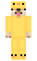 d76dde43c17b83 minecraft skin