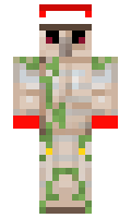 d76e4b843ece23 minecraft skin