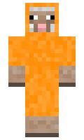 d76efc311e8d1c minecraft skin