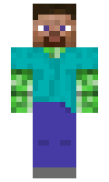 Senima minecraft skin