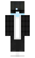 6623 minecraft skin