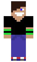 d789137698b2d0 minecraft skin