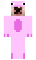 DERPYPIG123 minecraft skin