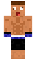 xNiiki minecraft skin
