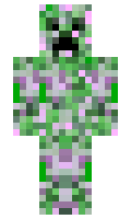 d7e319c72a860e minecraft skin