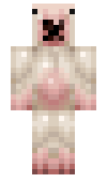 cinkuw minecraft skin