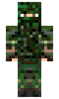 promine minecraft skin