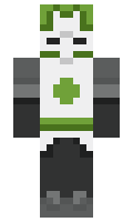 SmartDucc minecraft skin