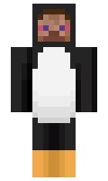 oGeneric minecraft skin