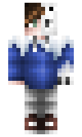 d8274126d8fe9d minecraft skin