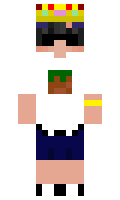 d8312c4ba8b7a3 minecraft skin