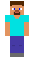 d83cddbe88a50b minecraft skin