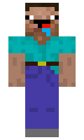 modar minecraft skin