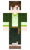 d85003bc87fae0 minecraft skin