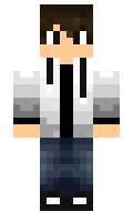 d8558d2a4ca774 minecraft skin