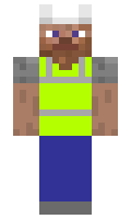 Bive minecraft skin