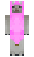d8702f4b66464e minecraft skin