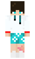SpinHit minecraft skin