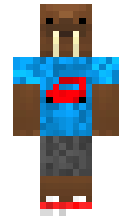 Sayhello minecraft skin