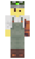 d8a85520ce4b99 minecraft skin